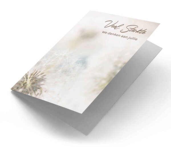 Paardenbloem close-up