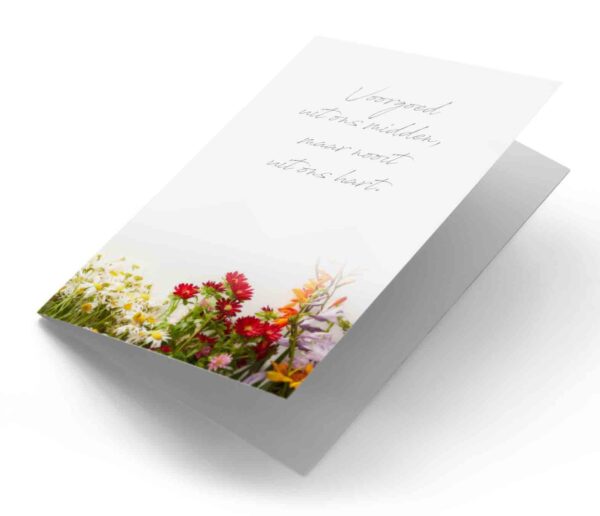 Panorama veldbloemen