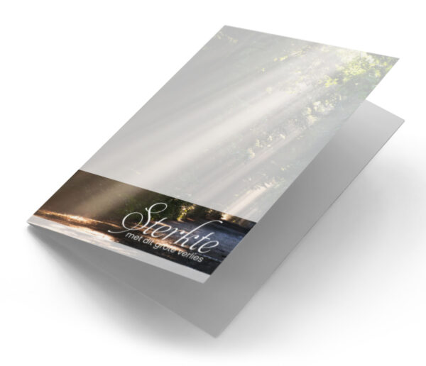 Zonnestralen in het bos