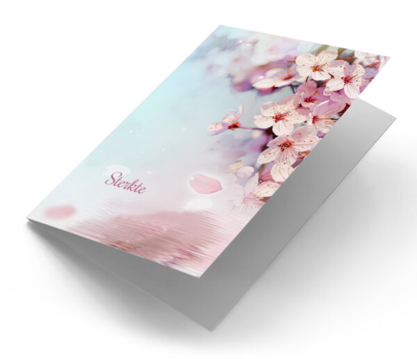 Bloesem met vallend blad