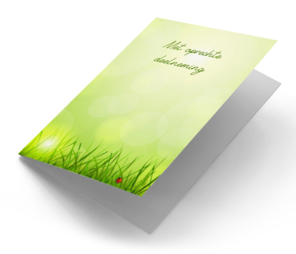 Gras met lieveheersbeestje