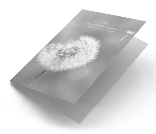 Paardenbloem Zwart-Wit