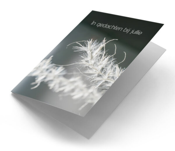 Gedroogde bloem zwart wit