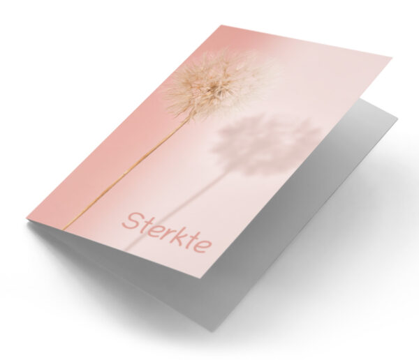 Paardenbloem zacht roze