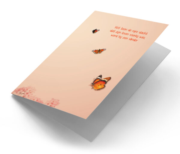 Vlinder oranje met bloesem