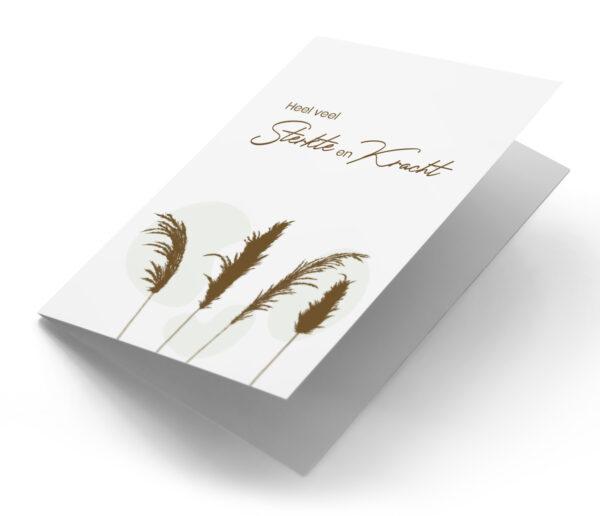 Getekend pampas gras