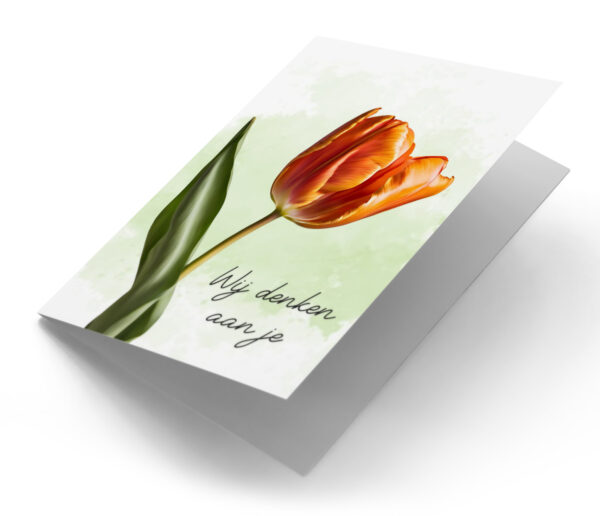 Tulp met groene achtergrond