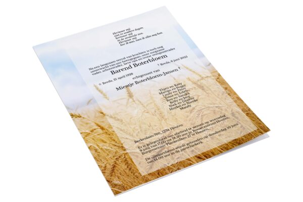 Korenveld blauwe lucht