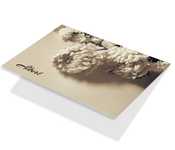 Chrysant Sepia
